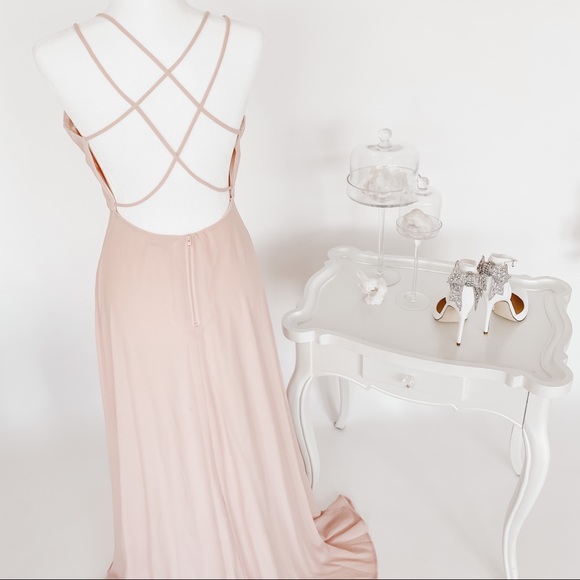 NWT Blush Pink Backless Chiffon Gown - Picture 4 of 7